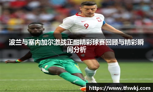 波兰与塞内加尔激战正酣精彩球赛回顾与精彩瞬间分析