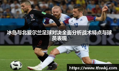 冰岛与北爱尔兰足球对决全面分析战术特点与球员表现