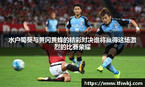 水户蜀葵与黄冈黄蜂的精彩对决谁将赢得这场激烈的比赛荣耀